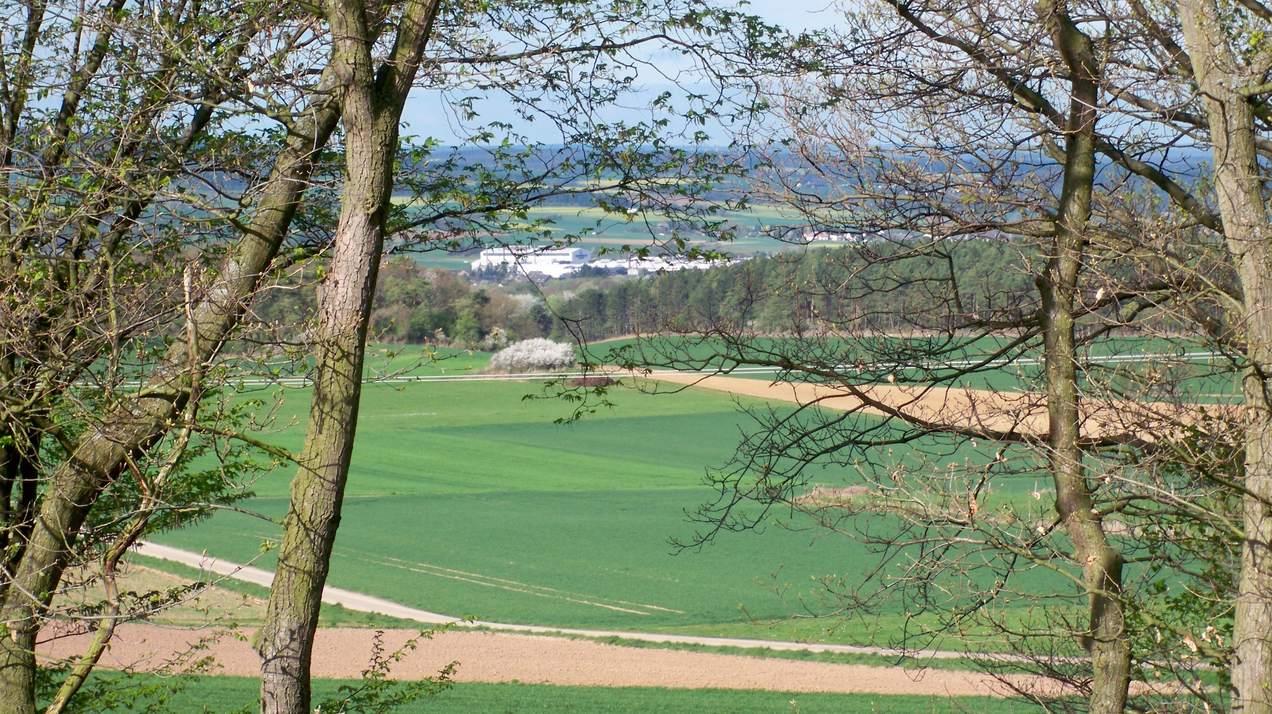 Streifzug durch die Eifel – von Euskirchen bis zur Talsperre