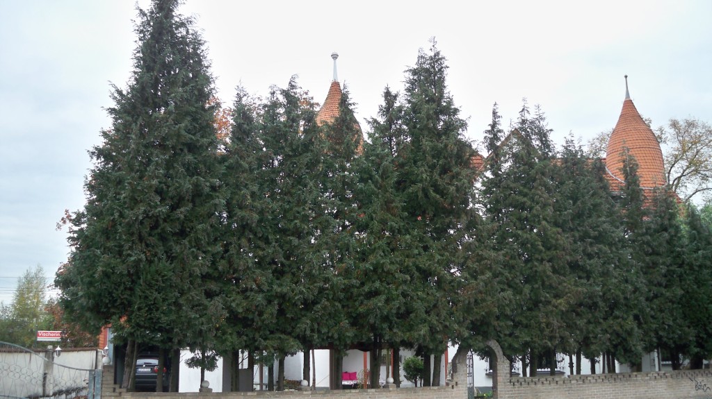 Haus Isenburg hinter Bäumen versteckt © Landesblog NRW